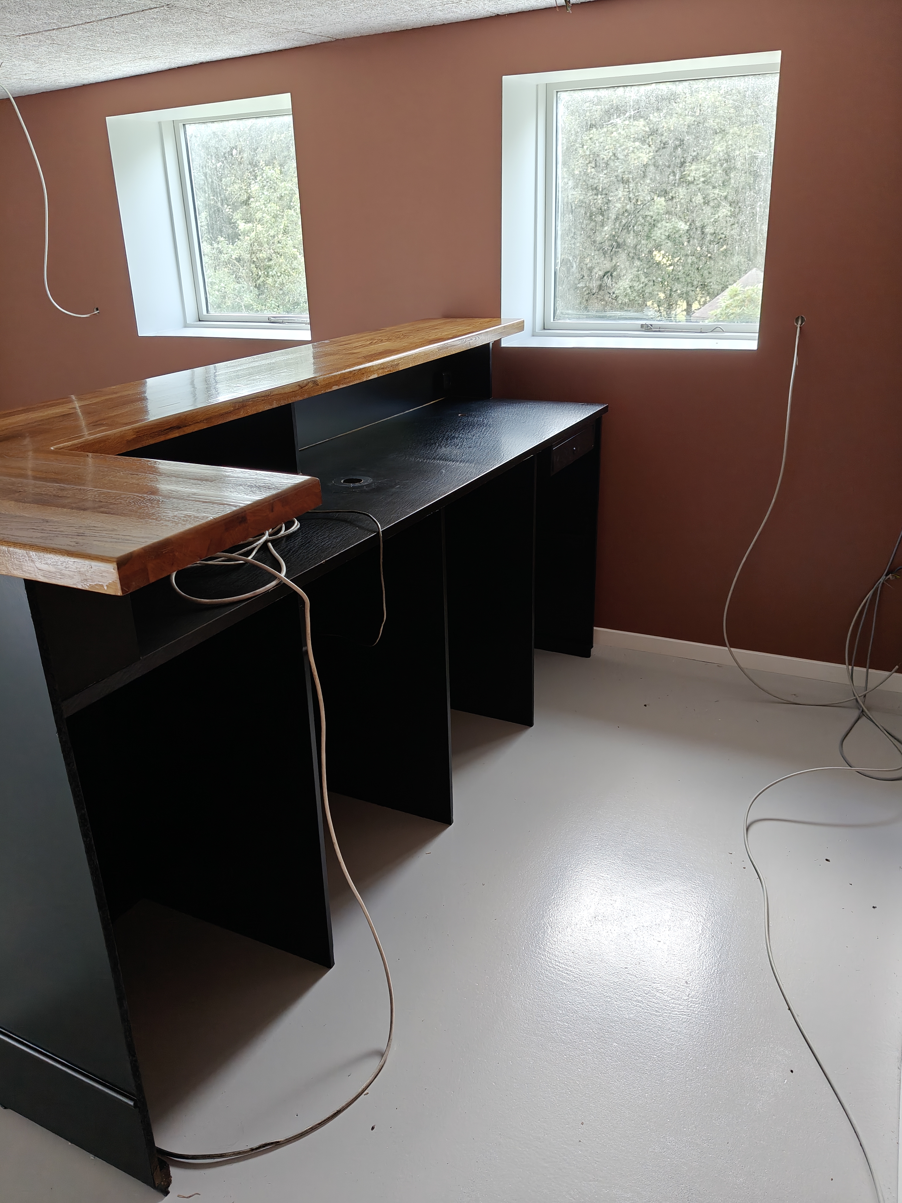 Bardisk efter maling – detalje 4